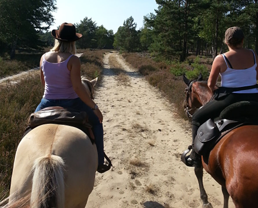 2 Reiterinnen auf ihren Pferden auf einem Weg in der Nemitzer Heide